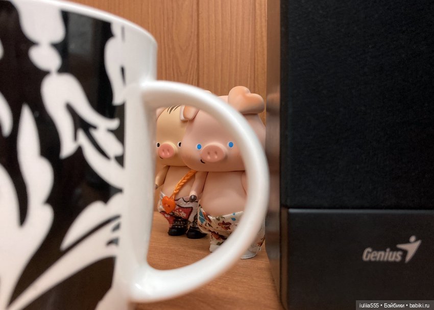 Поросячьи прогулки Нафани и Кеши (фото 6)