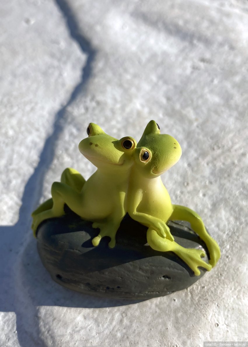 Поросячьи прогулки Нафани и Кеши