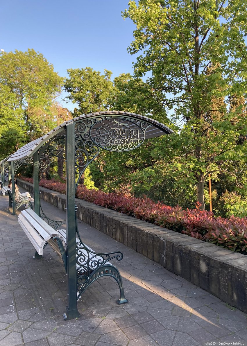 Поросячьи прогулки Нафани и Кеши