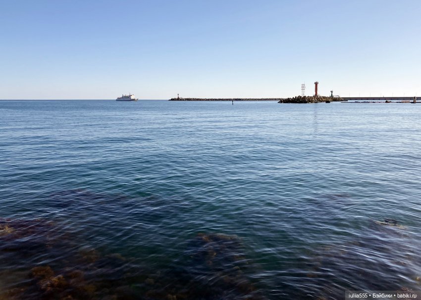 Поросячьи прогулки Нафани и Кеши