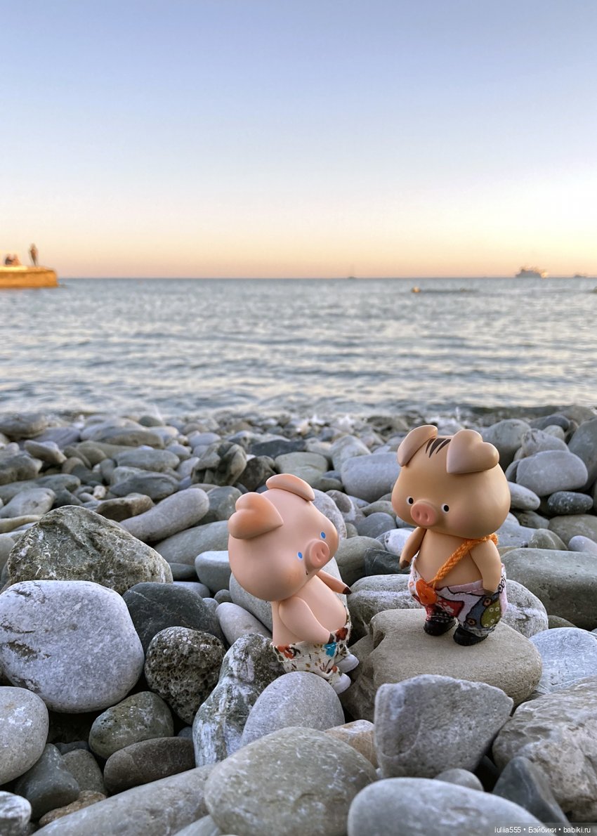 Поросячьи прогулки Нафани и Кеши