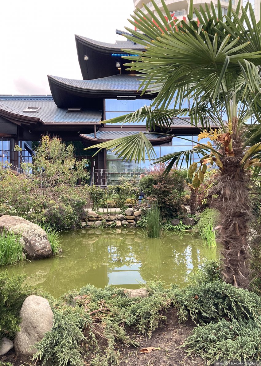 Поросячьи прогулки Нафани и Кеши