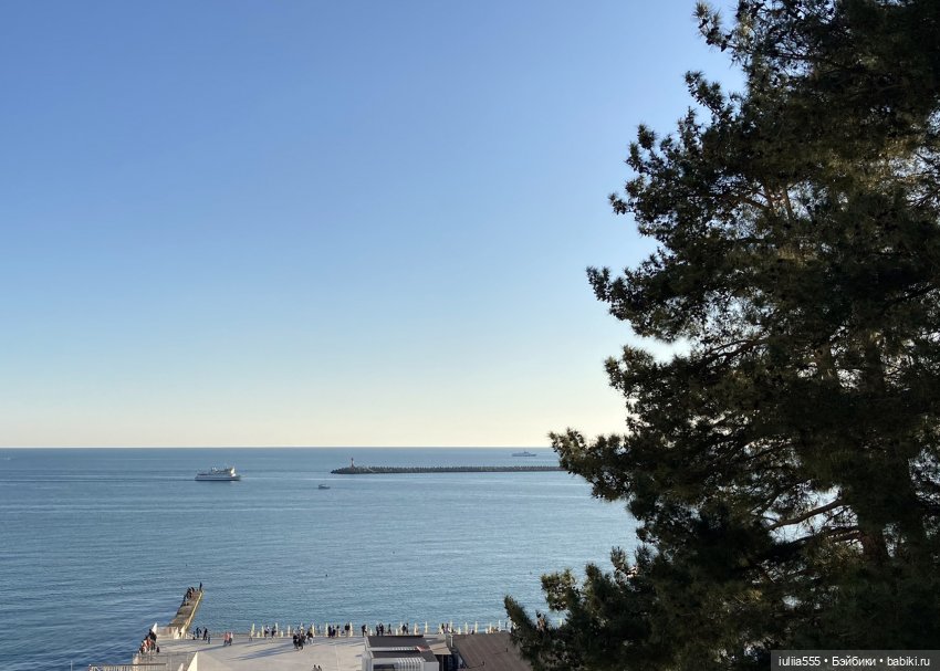 Поросячьи прогулки Нафани и Кеши