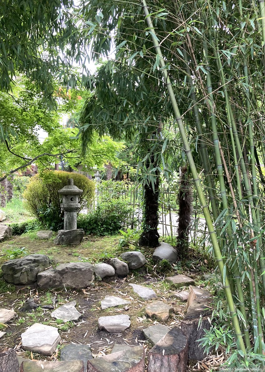 Поросячьи прогулки Нафани и Кеши