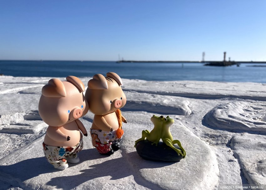 Поросячьи прогулки Нафани и Кеши