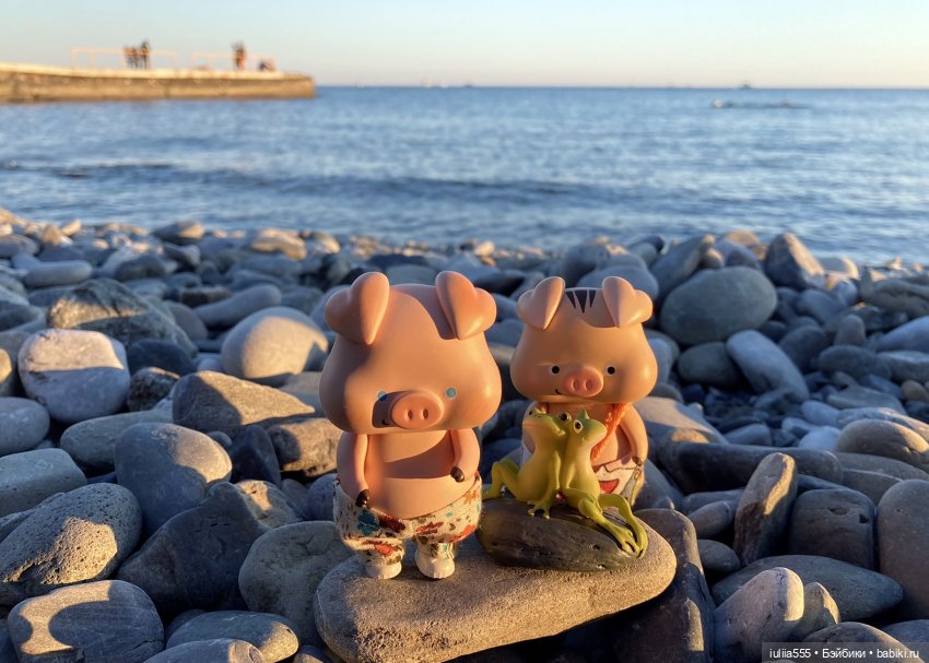 Поросячьи прогулки Нафани и Кеши