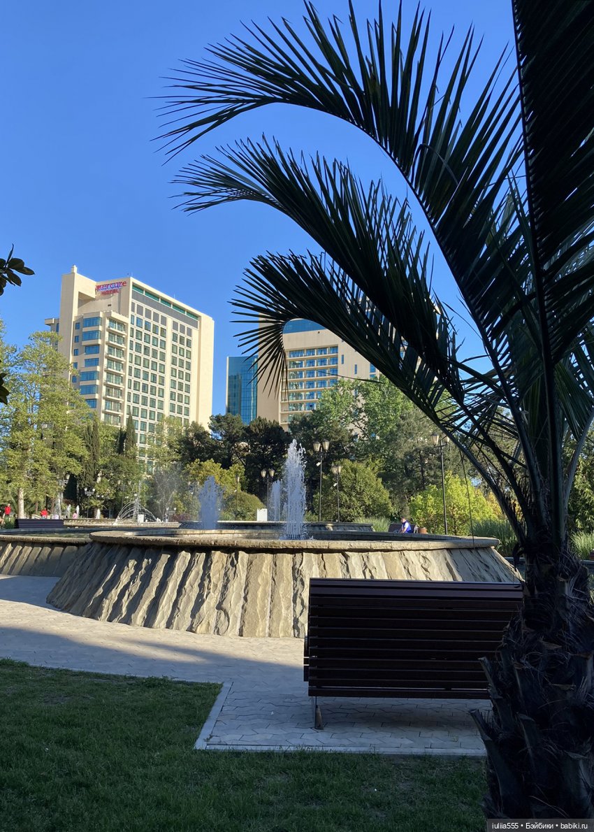 Поросячьи прогулки Нафани и Кеши