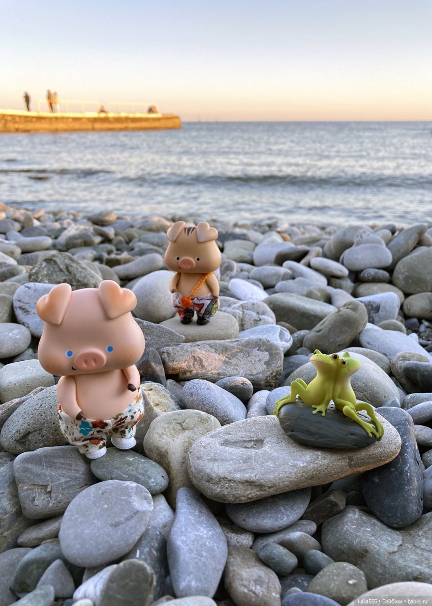 Поросячьи прогулки Нафани и Кеши