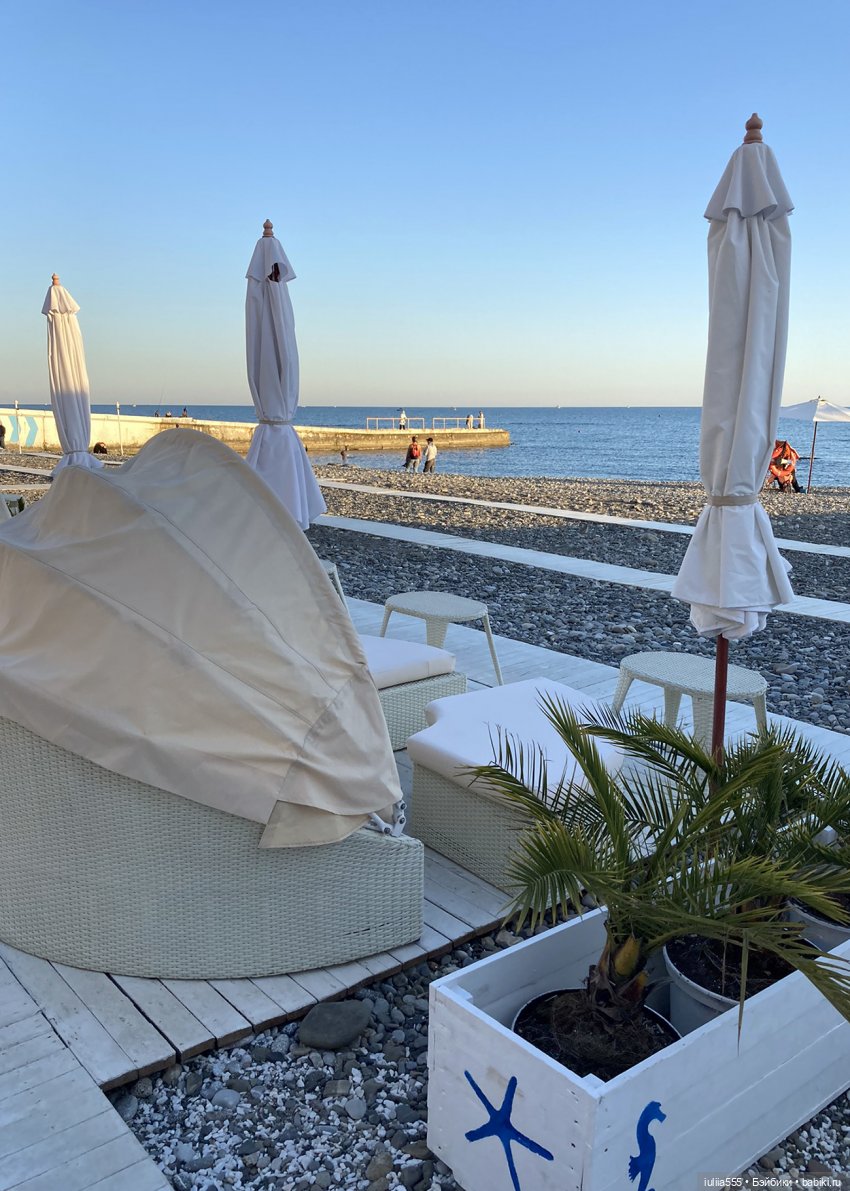 Поросячьи прогулки Нафани и Кеши