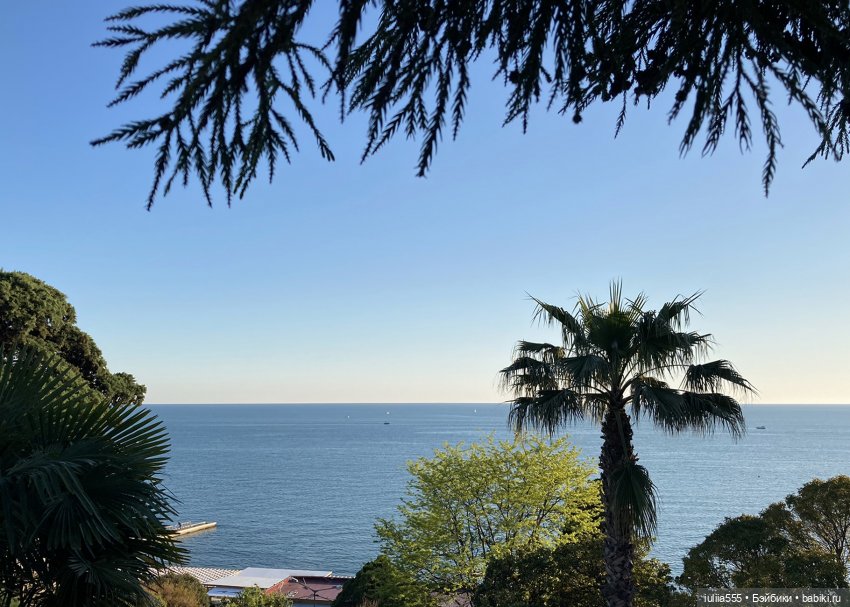 Поросячьи прогулки Нафани и Кеши