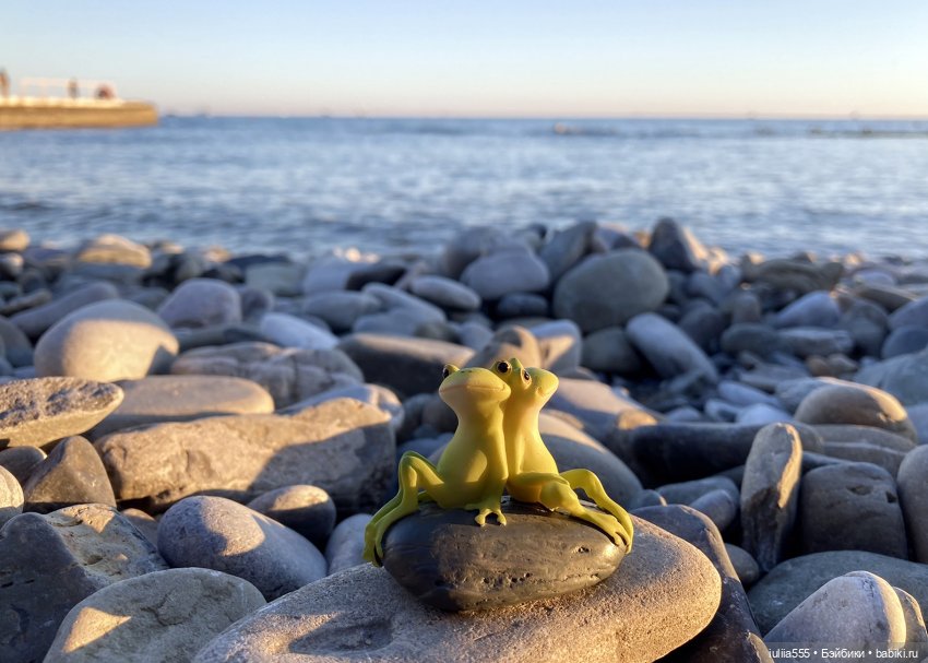 Поросячьи прогулки Нафани и Кеши