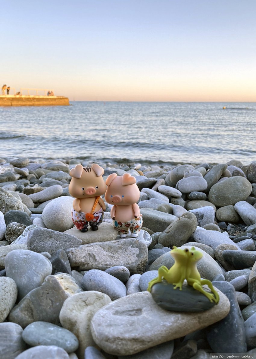 Поросячьи прогулки Нафани и Кеши