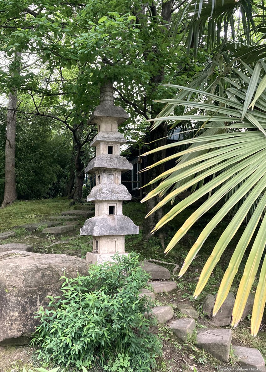 Поросячьи прогулки Нафани и Кеши