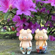 Поросячьи прогулки Нафани и Кеши