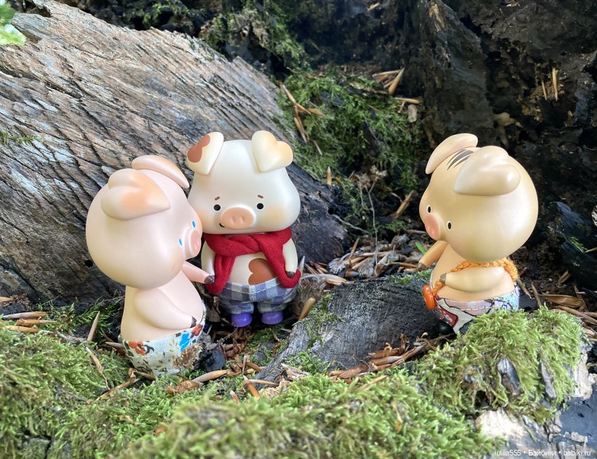 У леса на опушке гуляли три свинюшки (фото 4)