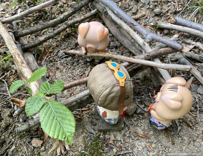 У леса на опушке гуляли три свинюшки (фото 8)