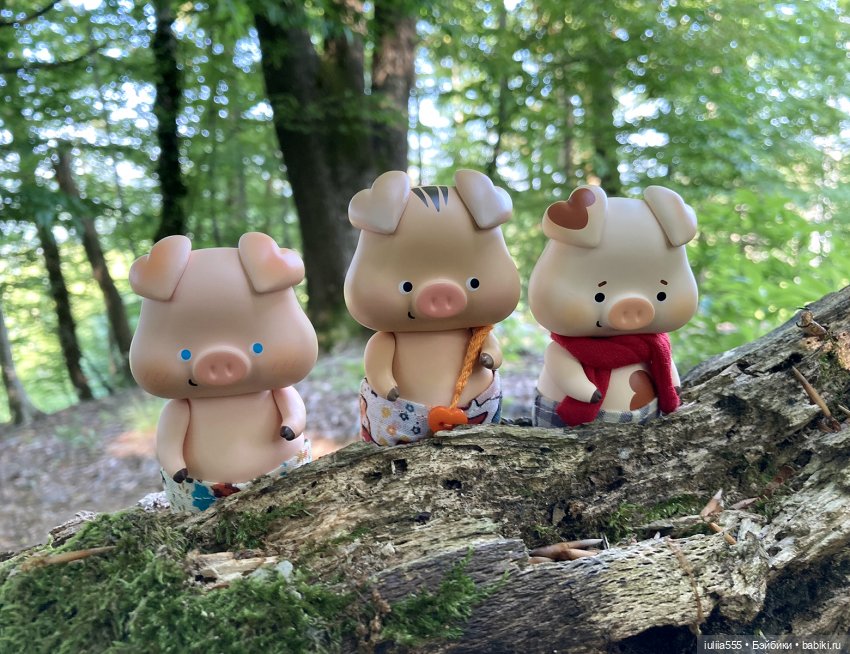 У леса на опушке гуляли три свинюшки (фото 9)