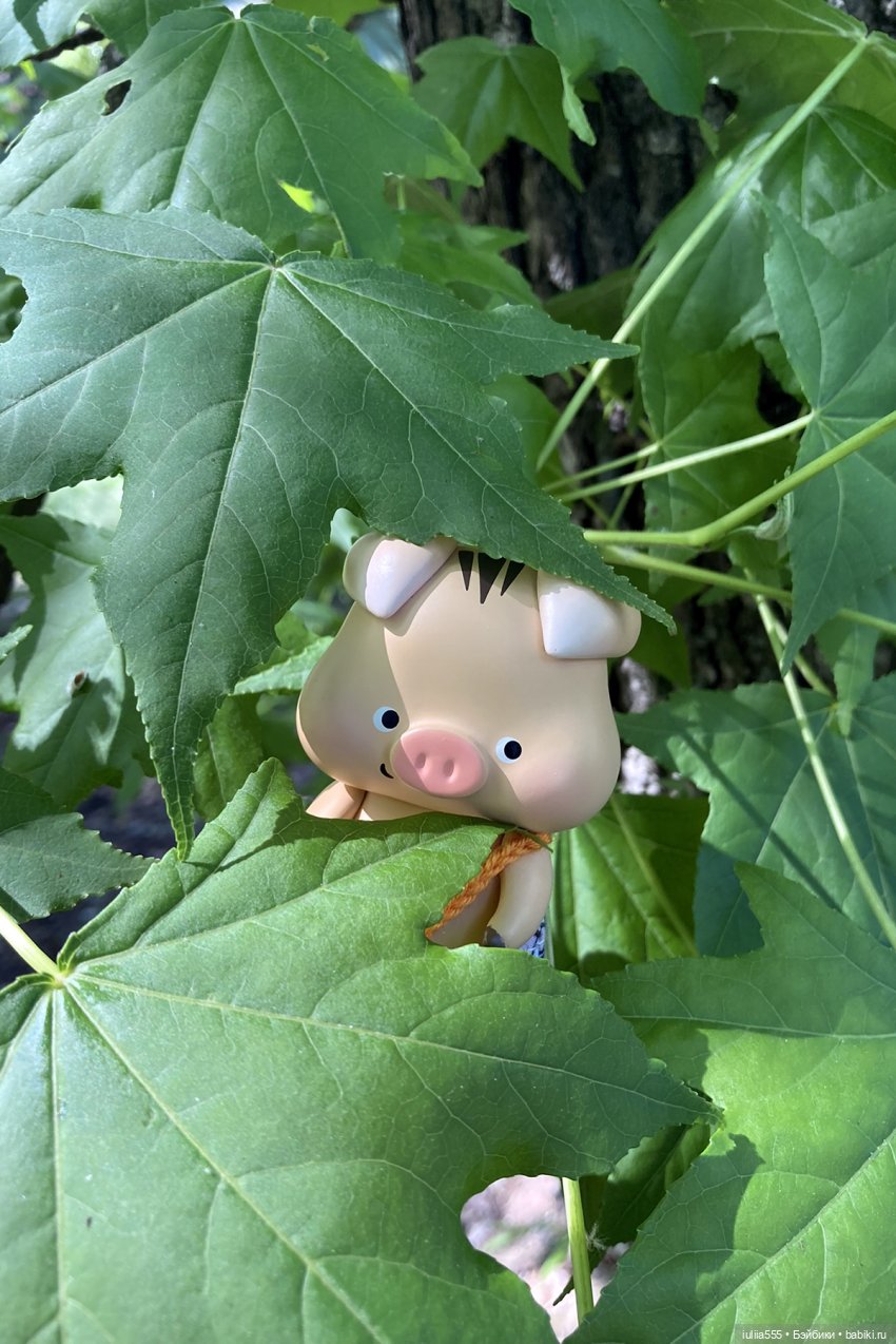 У леса на опушке гуляли три свинюшки