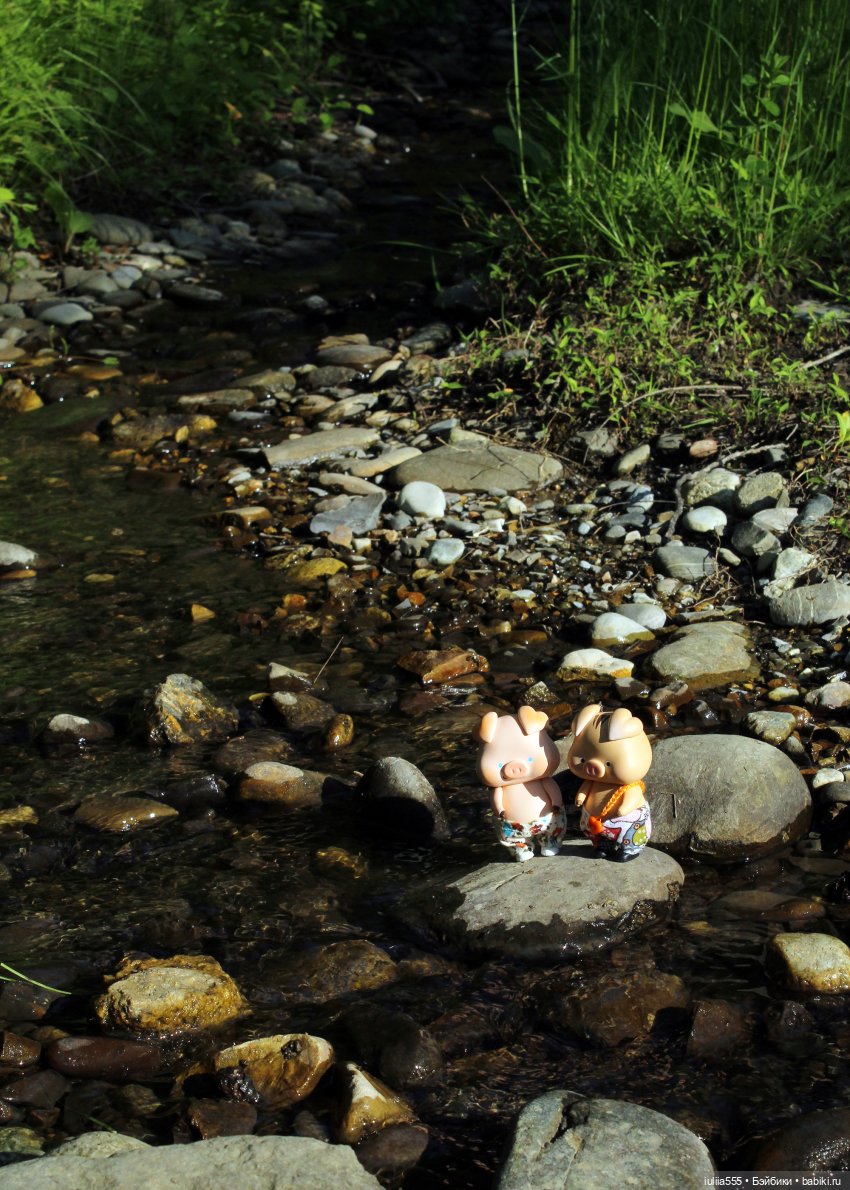 У леса на опушке гуляли три свинюшки