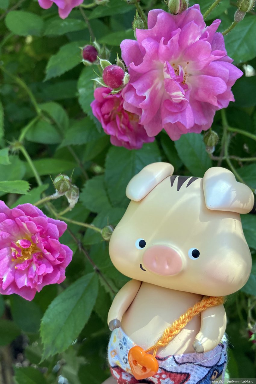 У леса на опушке гуляли три свинюшки