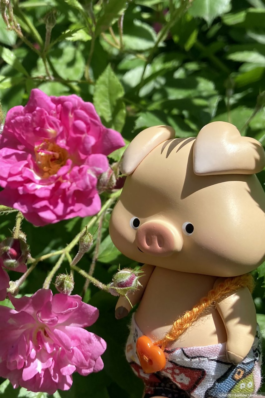 У леса на опушке гуляли три свинюшки