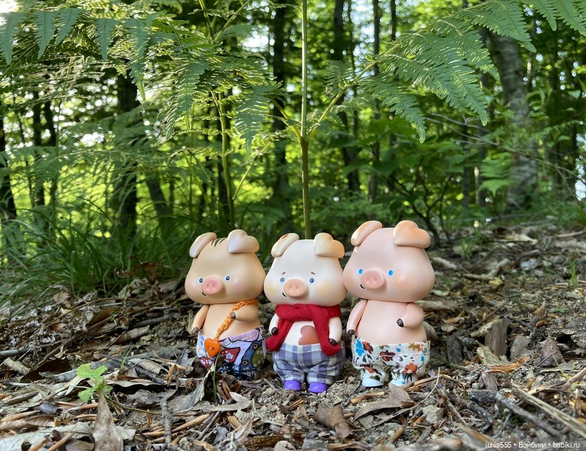У леса на опушке гуляли три свинюшки (фото 10)