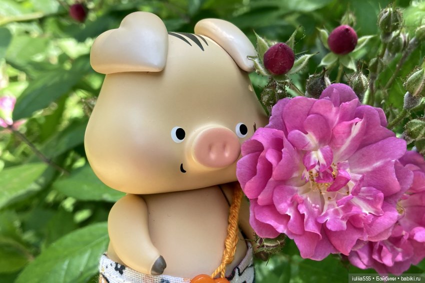 У леса на опушке гуляли три свинюшки