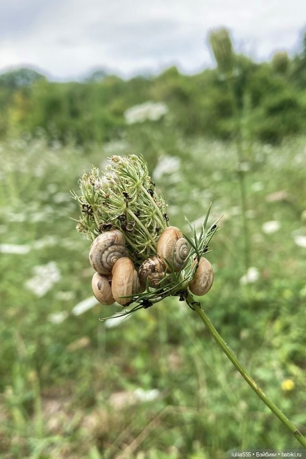 Дусины улики — Куклы Nines d'Onil (Нинес): Миа (Mia)