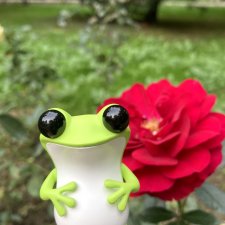 Лягушонок Афоня