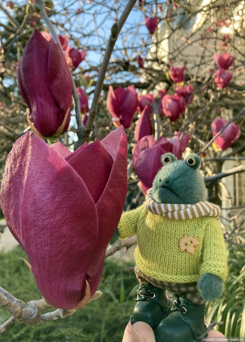 Парочка на весенней прогулке (фото 9)