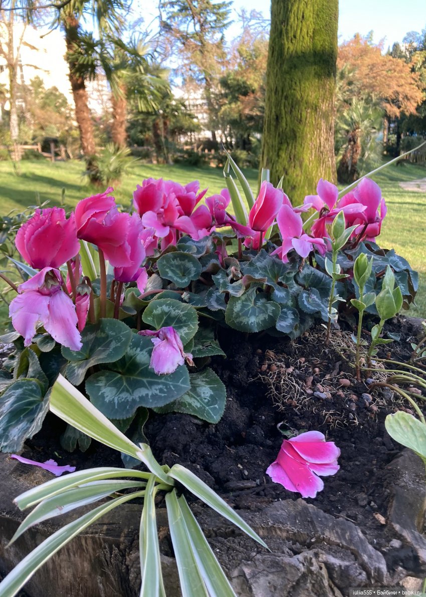 Парочка на весенней прогулке (фото 10)