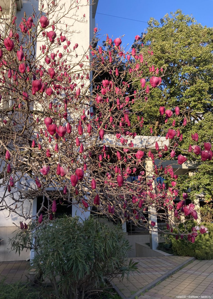 Парочка на весенней прогулке (фото 7)