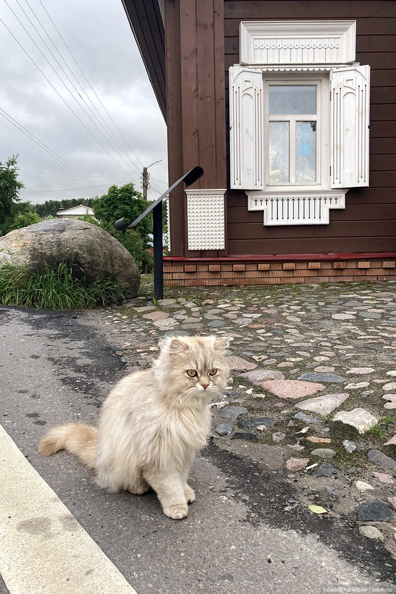 Прокатимся по Золотому кольцу | Бэйбики Прокатимся по Золотому кольцу (фото 4)