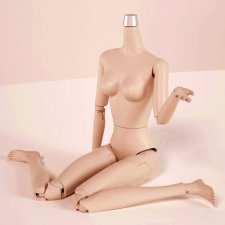 Тело шарнирное