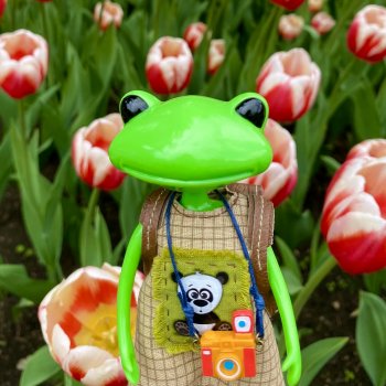 Кевину 1 год :) Яркая жизнь лягушки Wonder Frog (часть вторая)