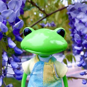 Кевину 1 год :) Яркая жизнь лягушки Wonder Frog (часть первая)