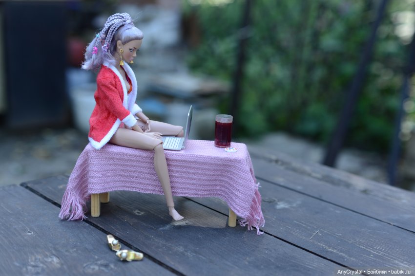Вайола и деревня — Аналоги Барби и куклы 1/6: клоны 90 (фото 5)