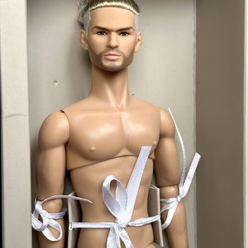 Шершень Монтегю