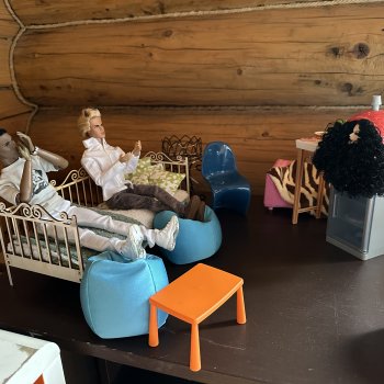 Нелегальная дача