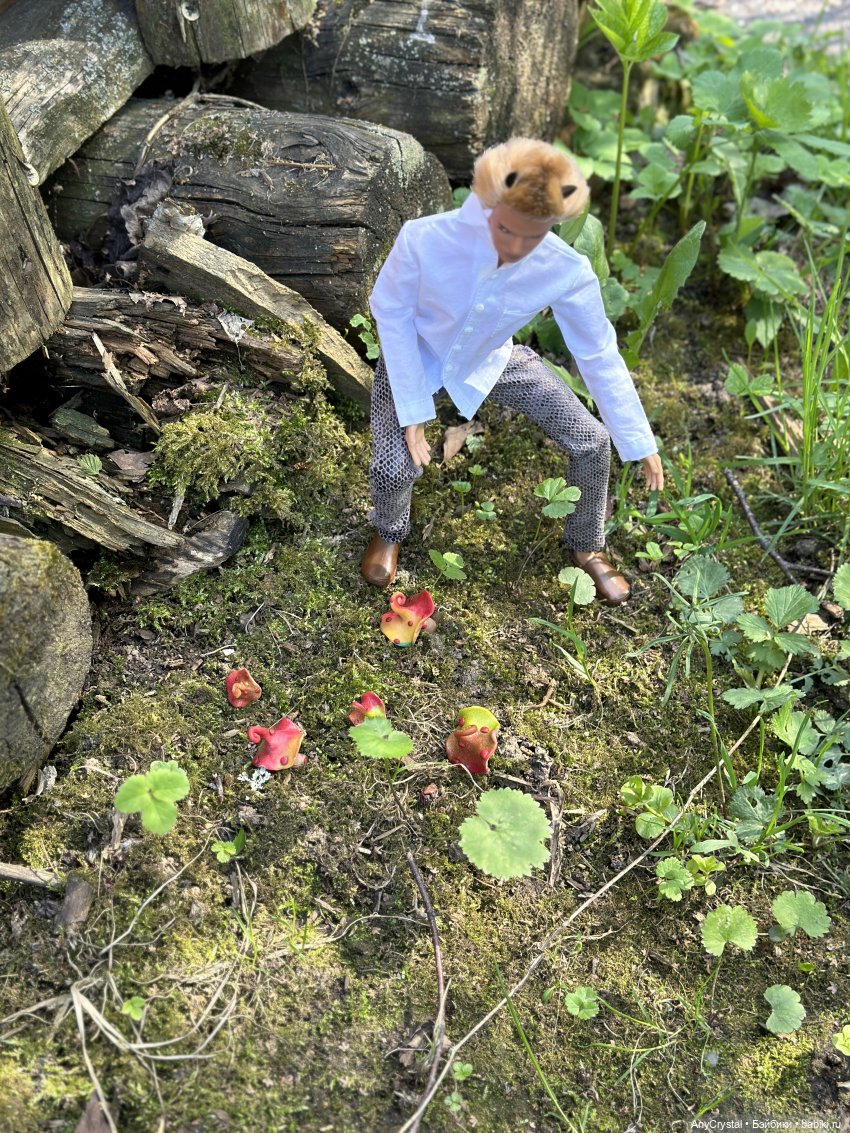 Петя ко-ко — Куклы Integrity Toys (Интегрити): Poppy Parker (фото 3)