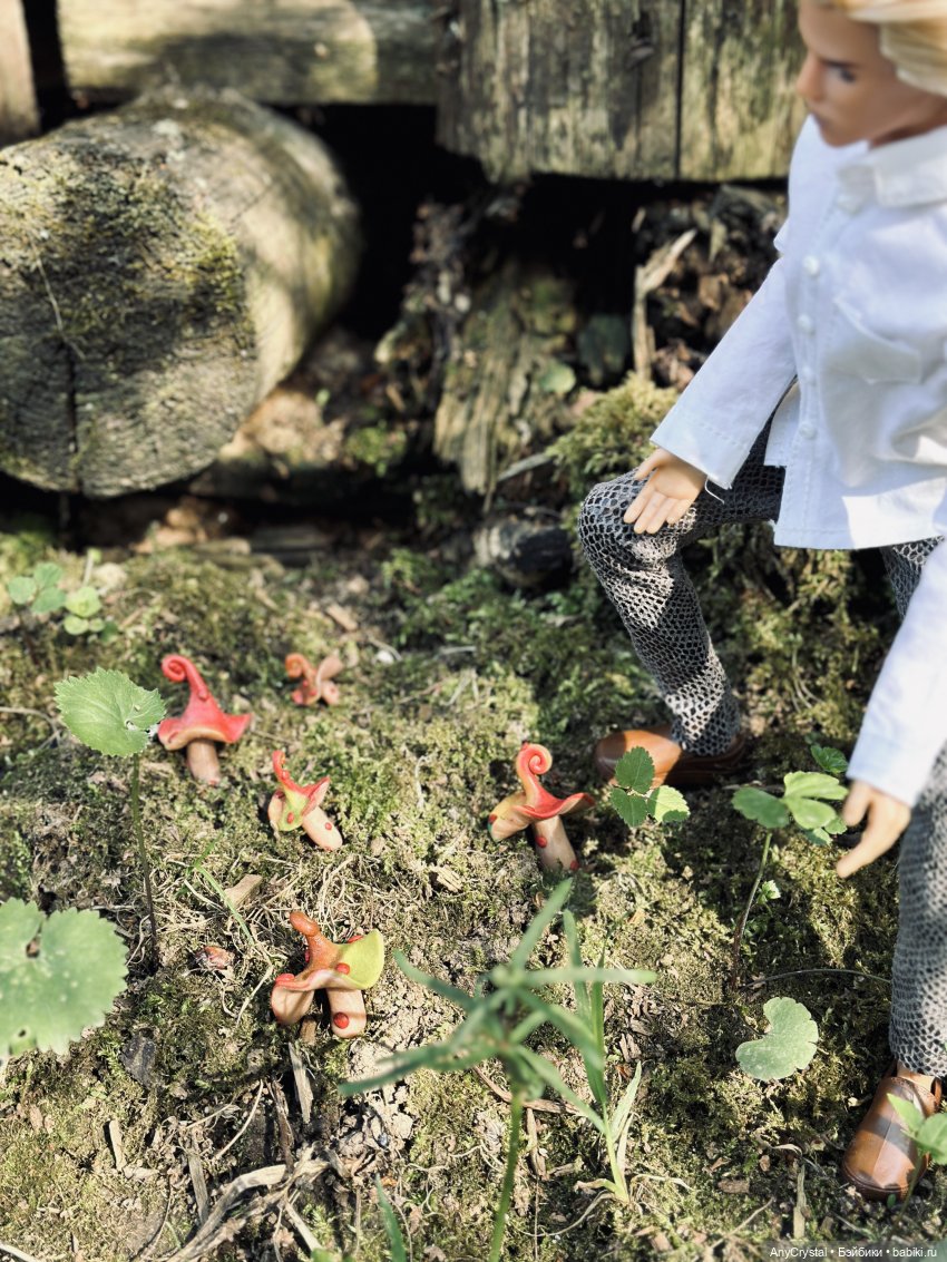 Петя ко-ко — Куклы Integrity Toys (Интегрити): Poppy Parker (фото 4)