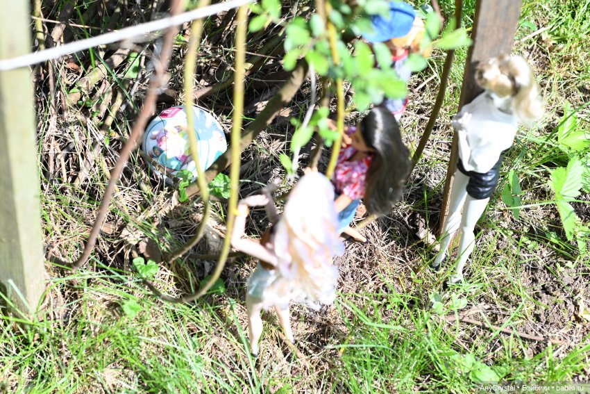 Лето 24. 4 Часть 1 "Чьё-то желание" (фото 7)