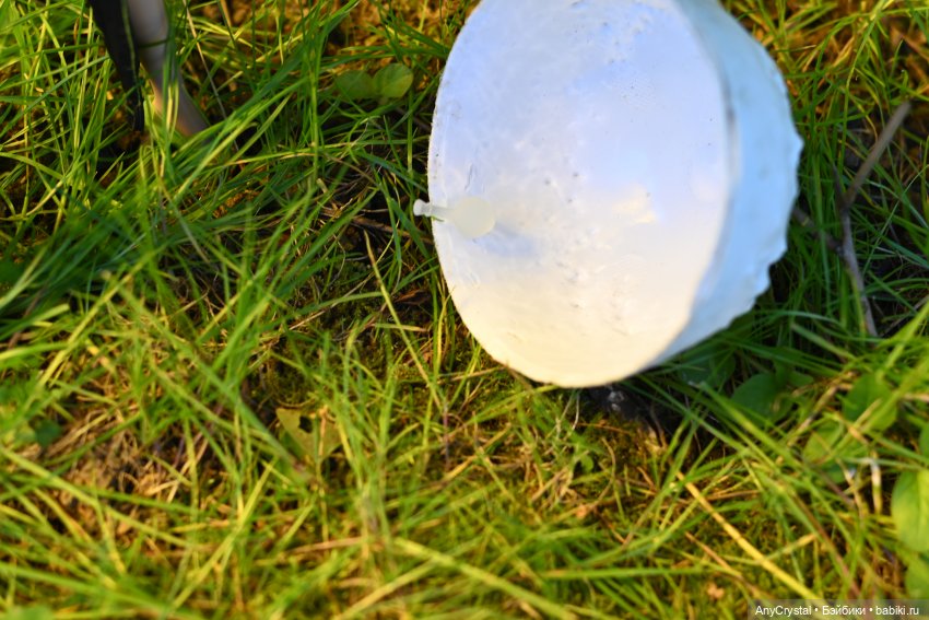 Лето 24.4 "Чье-то желание 3 часть" (фото 5)