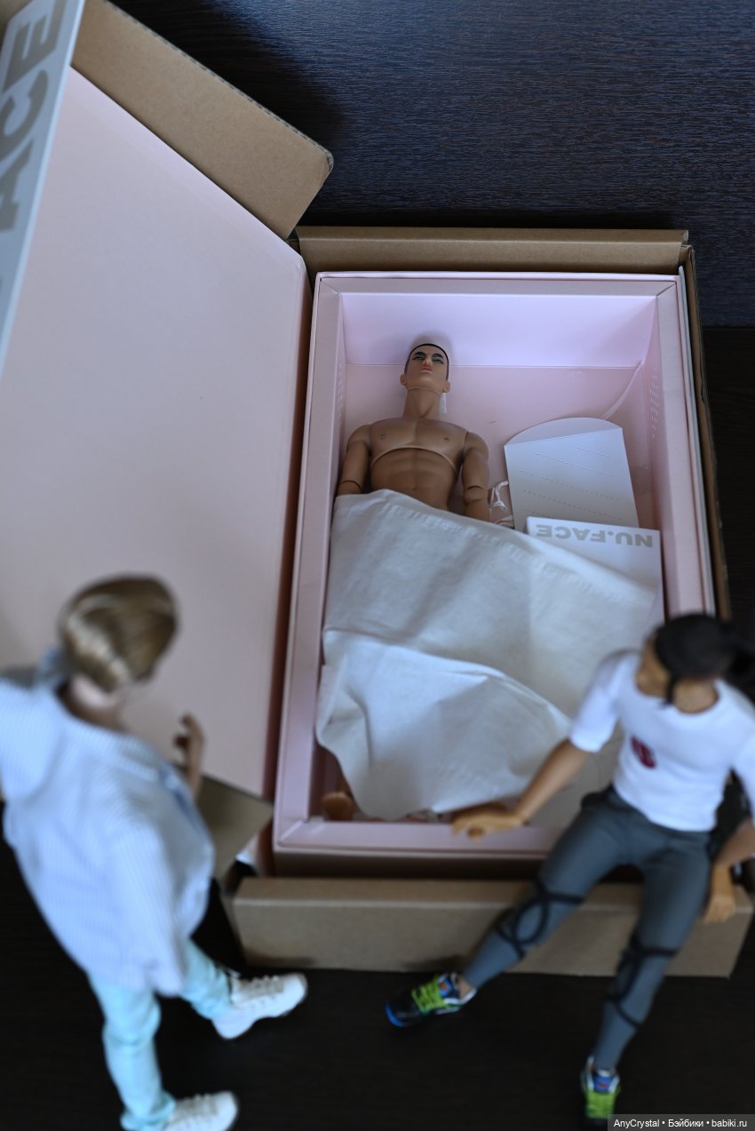 Обновлённый Игнор — Куклы Integrity Toys (Интегрити): Poppy Parker