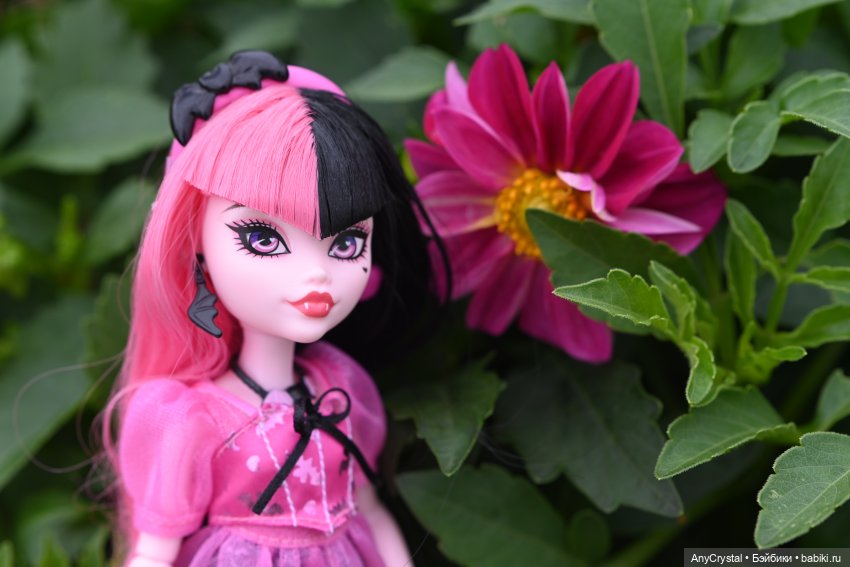 Внеколлективные) — Игровые куклы разных производителей (Разное): редкие бренды