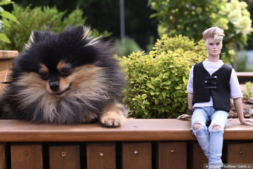 Попытка показа жителей N2 (фото 4)