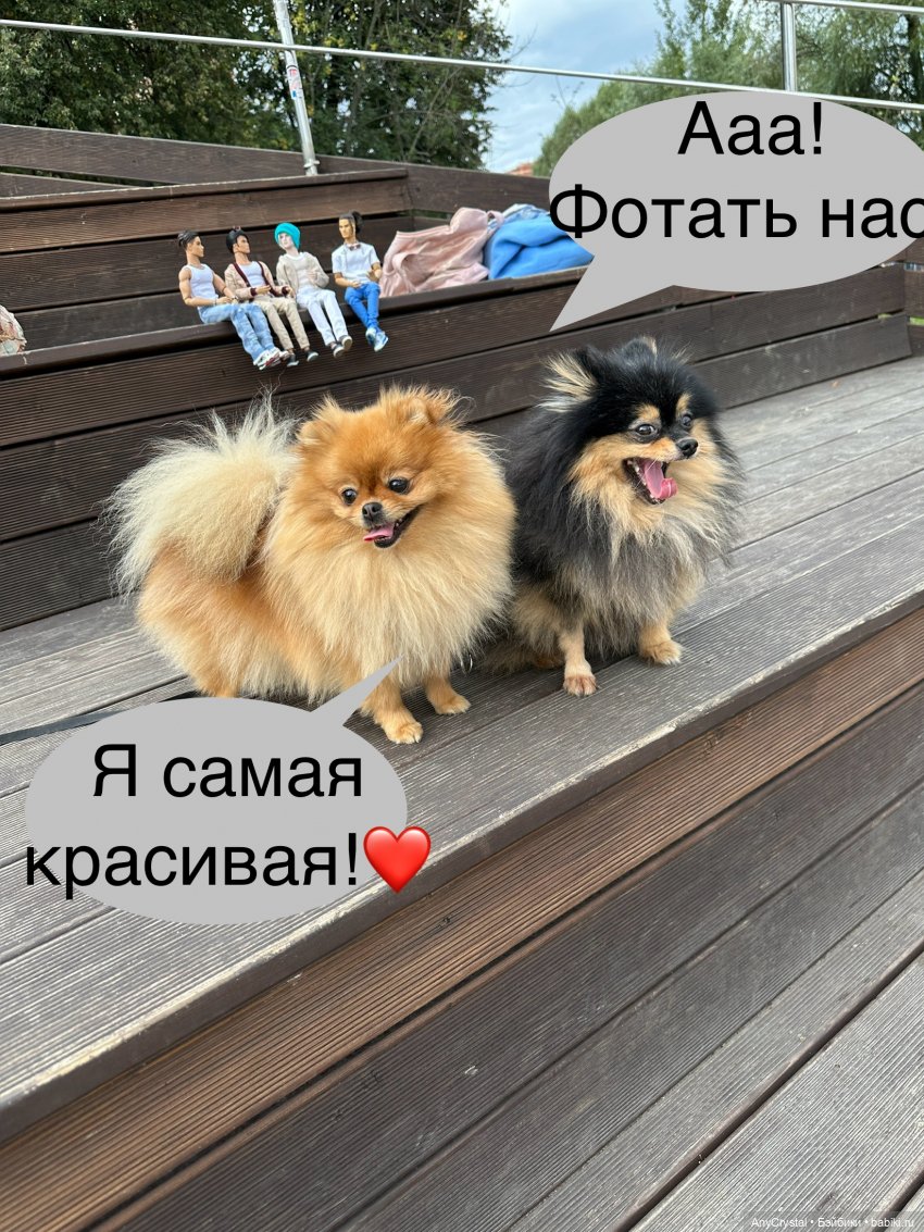 Сериал " Я твой краш/треш" Серия 8. " Пошивушкам нет!!!" (фото 7)