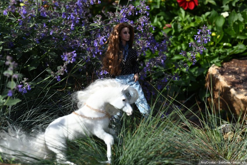 Показ жителей N3, плюс футболки)