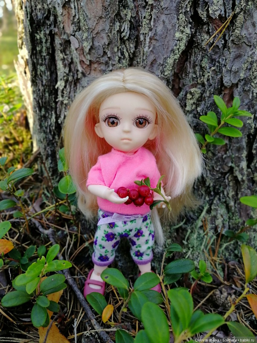 Кнопка на даче | Бэйбики Кнопка на даче — Игровые куклы разных производителей (Разное): редкие бренды (фото 6)