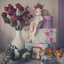 Кошечка. Просто кошечка любования для